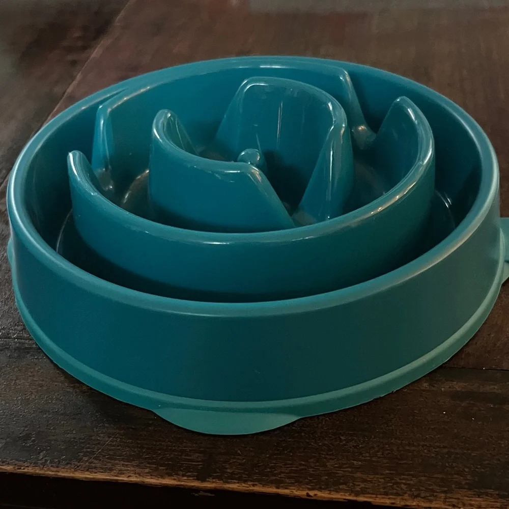 Teal Slow Feeder Dog Bowl
